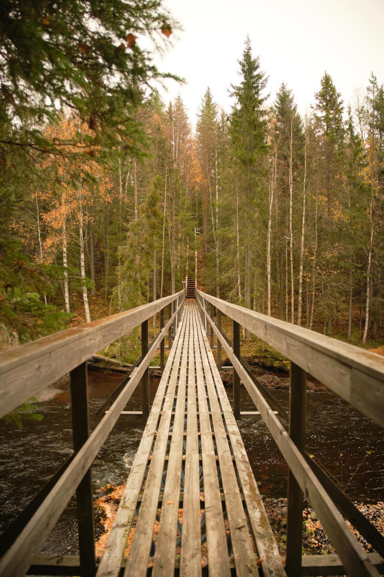 Langforsen Glamping & Lapland Experience Hotel Lapptrask Ngoại thất bức ảnh