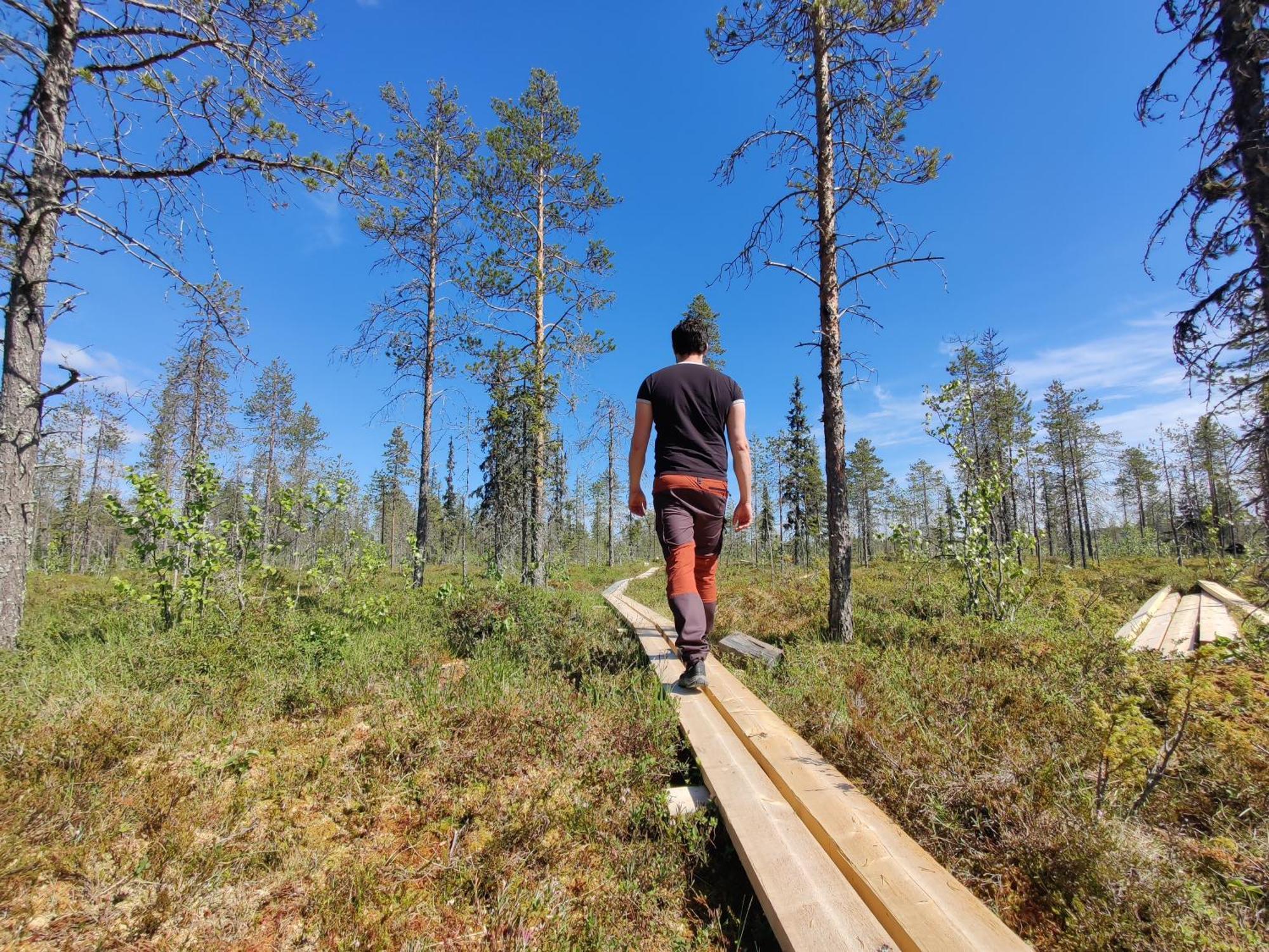 Langforsen Glamping & Lapland Experience Hotel Lapptrask Ngoại thất bức ảnh