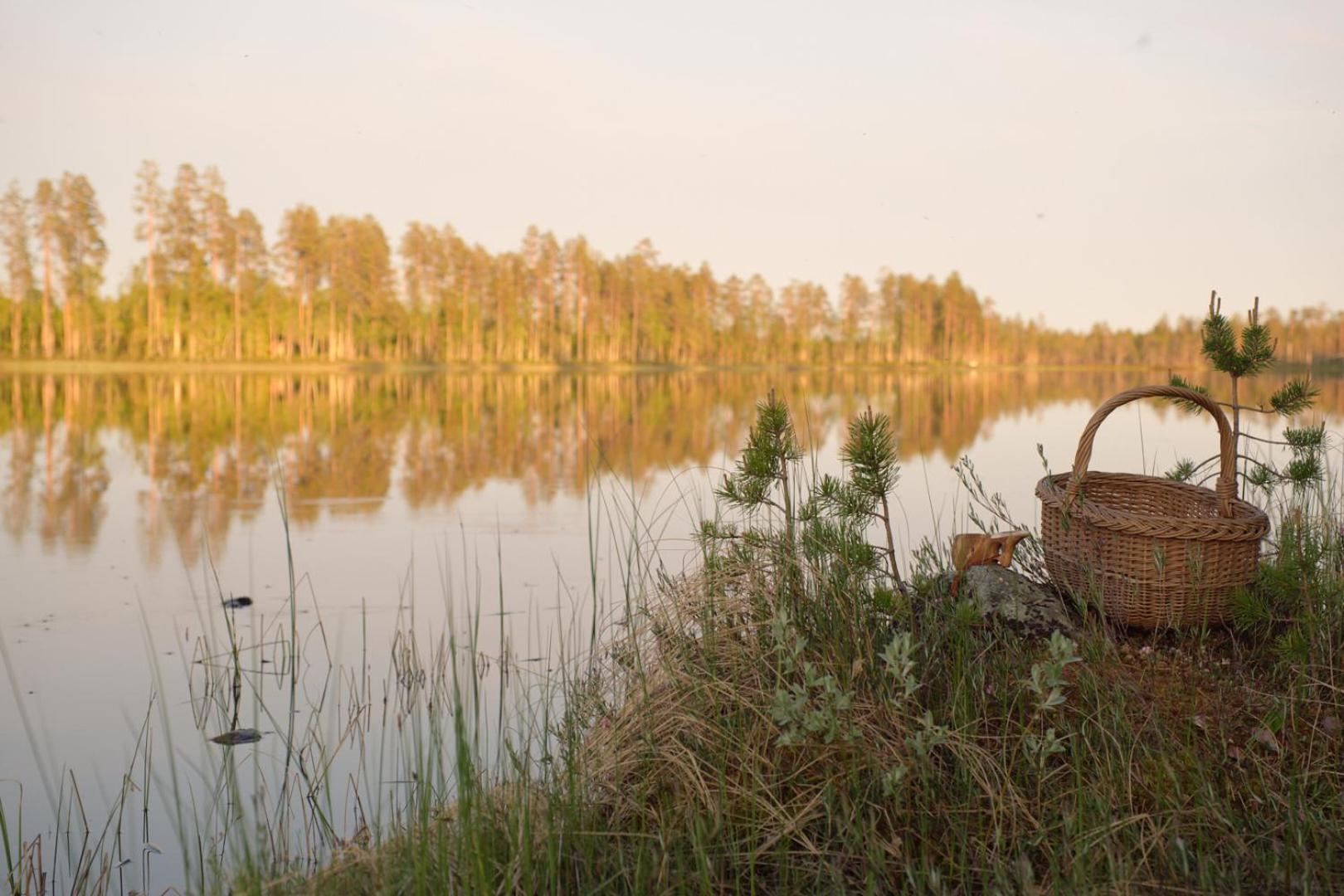 Langforsen Glamping & Lapland Experience Hotel Lapptrask Ngoại thất bức ảnh