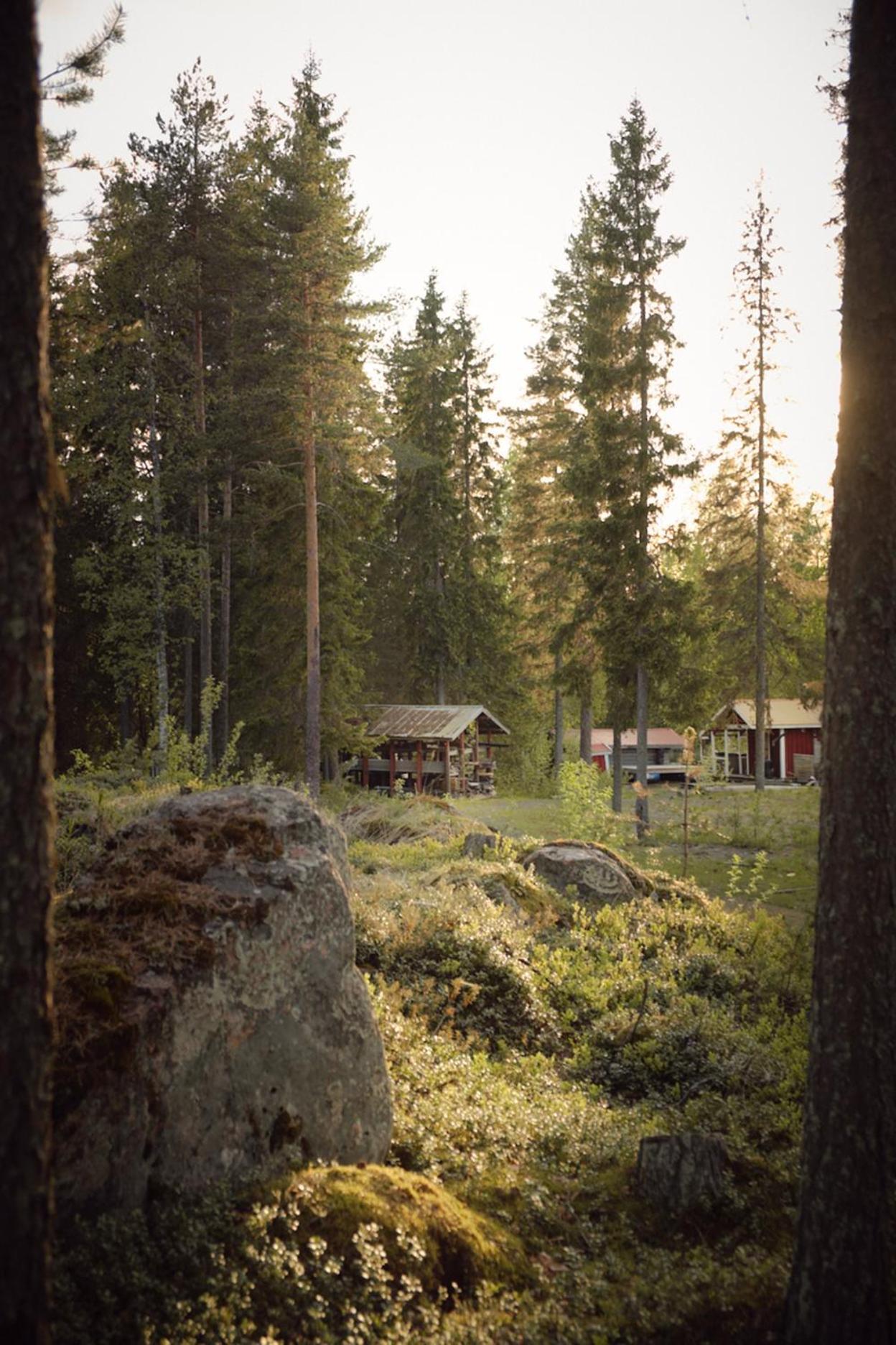Langforsen Glamping & Lapland Experience Hotel Lapptrask Ngoại thất bức ảnh