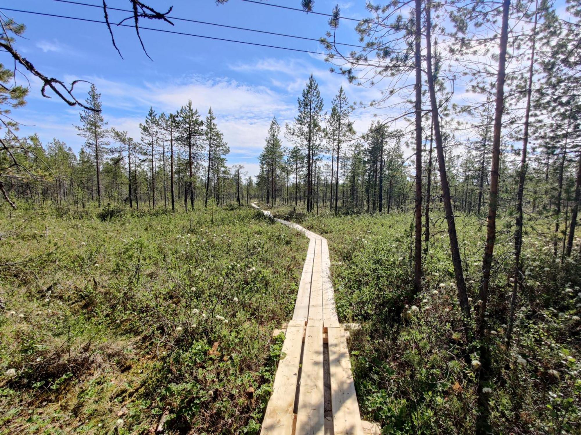 Langforsen Glamping & Lapland Experience Hotel Lapptrask Ngoại thất bức ảnh