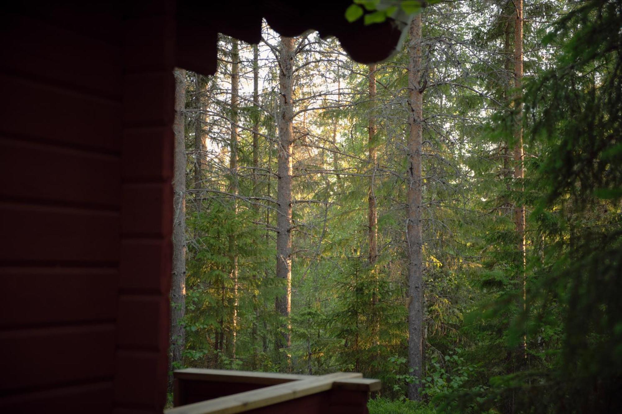 Langforsen Glamping & Lapland Experience Hotel Lapptrask Ngoại thất bức ảnh